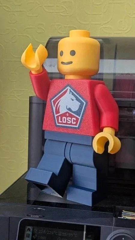 LOSC 3D brick figurine (20cm) - The Dogue you were missing! – photo 4